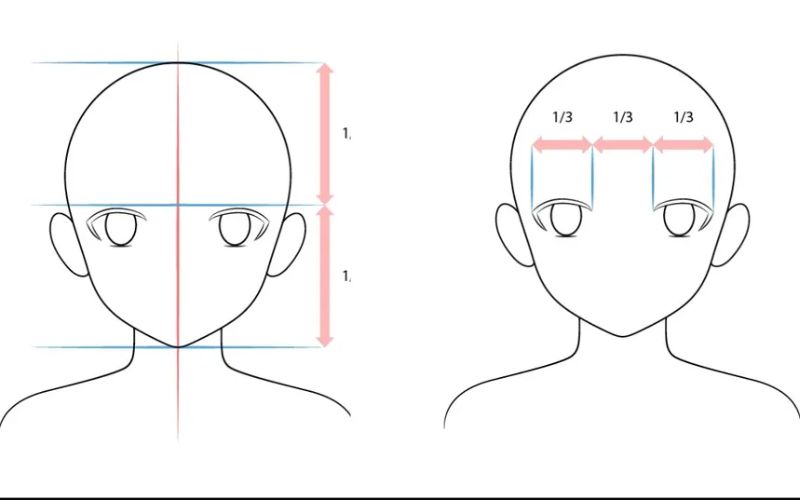 Các tỉ lệ của khuôn mặt