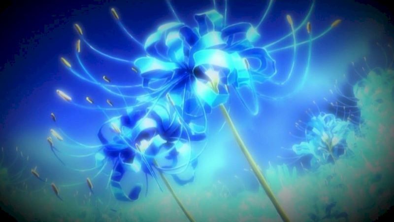Hoa Bỉ Ngạn màu xanh 