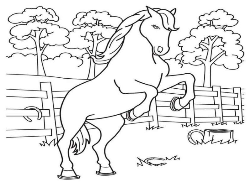 Hình ảnh Vẽ Tranh Tô Màu Con Ngựa Cho Trẻ Em Sở Thú Sách Vectơ PNG , Vẽ Ngựa,  Vẽ Sách, Vẽ Chiếc Nhẫn PNG và Vector với nền trong suốt để
