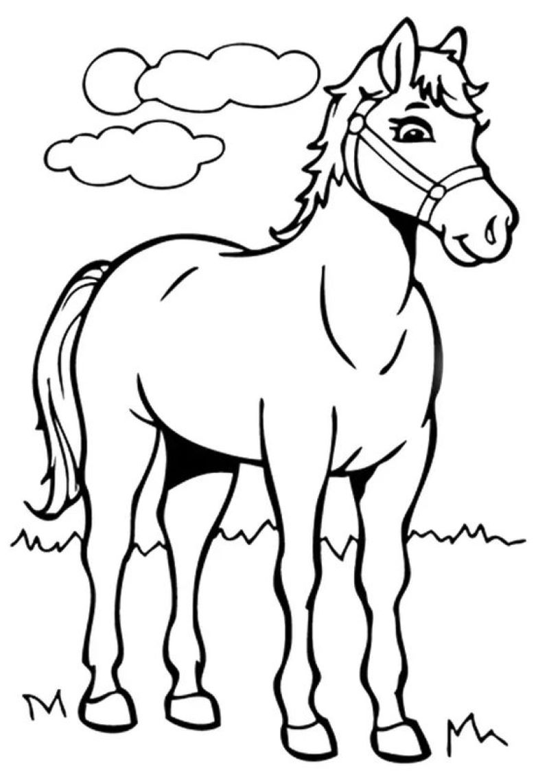 Tranh tô màu chú ngựa con dễ thương đang chơi đùa trong nông trại | Mầm non  Cổ Bi