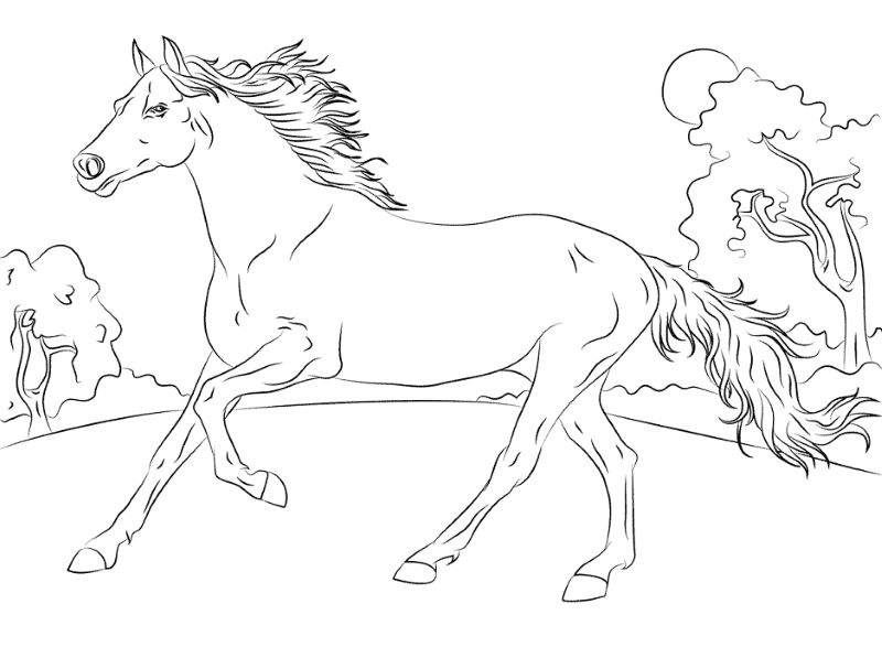 Tô màu Con Ngựa Đang Đứng - Trang Tô Màu Cho Bé