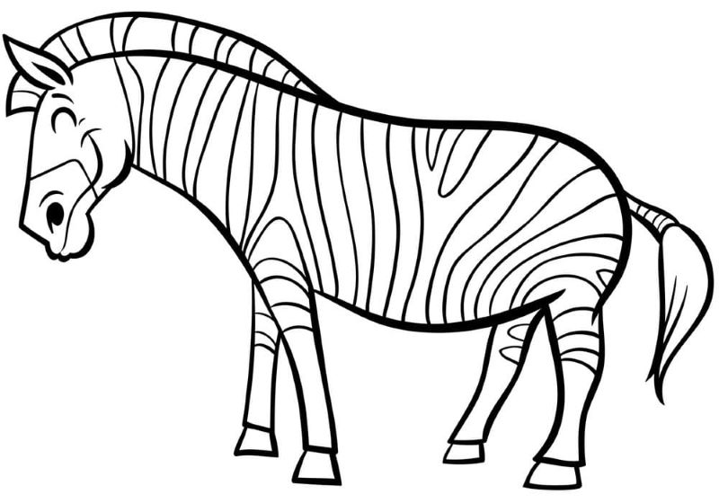Hình con ngựa vằn cho bé tô màu